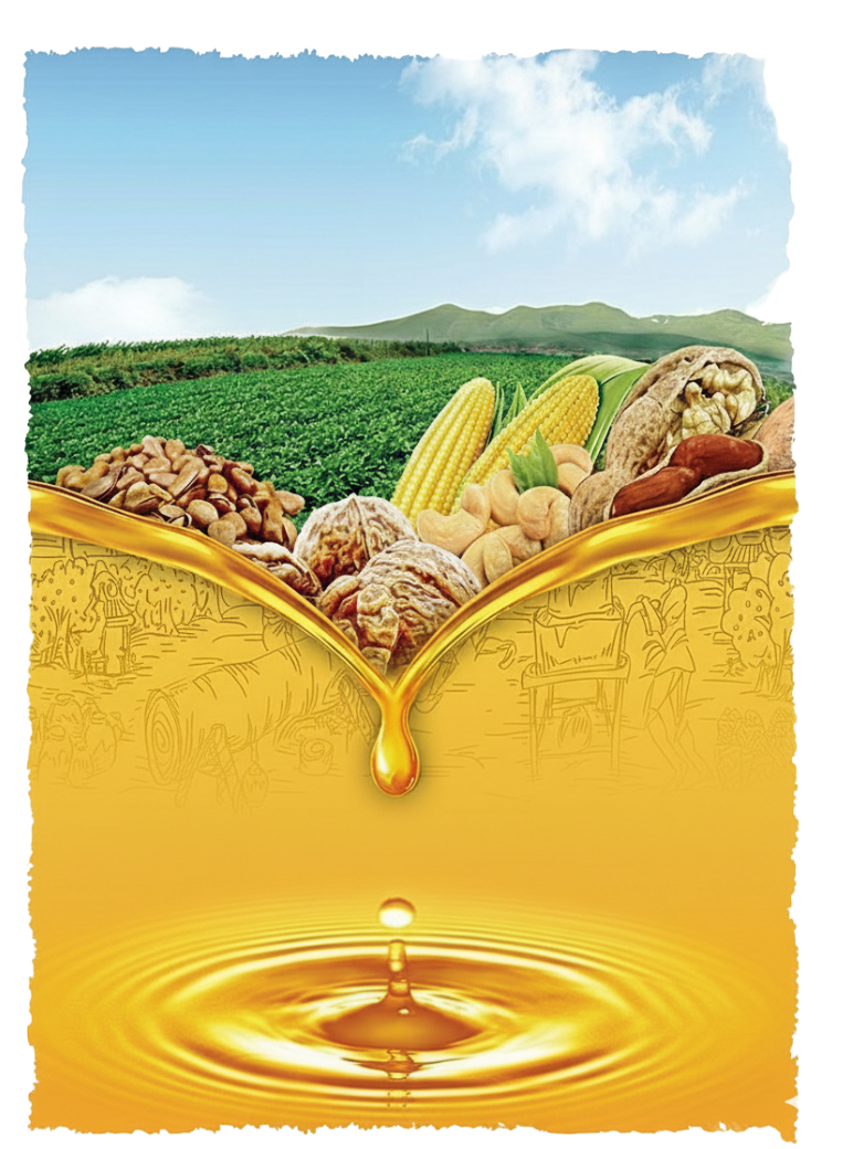 Oil