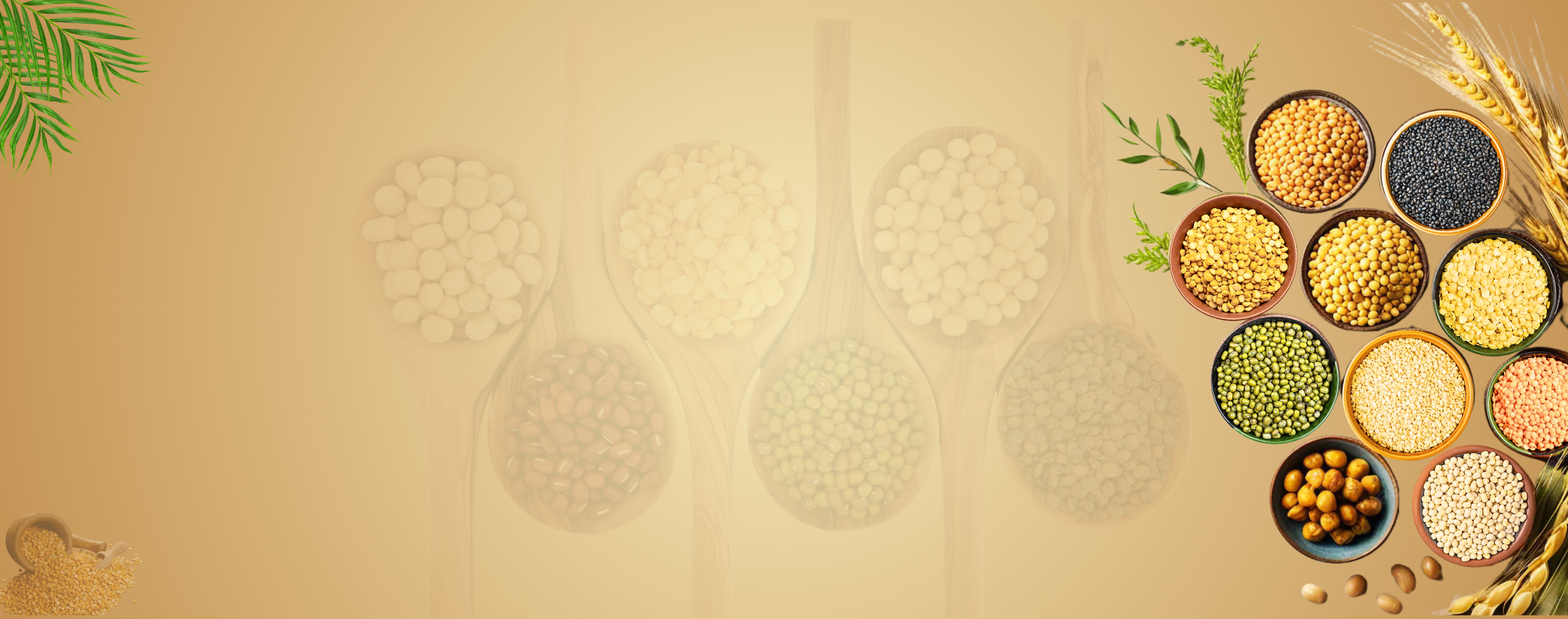 slider image slider_item_NqMDHQ